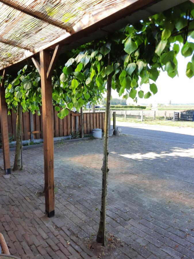 Anneke's Bed en Botterhammeke Leilighet Woensdrecht Eksteriør bilde